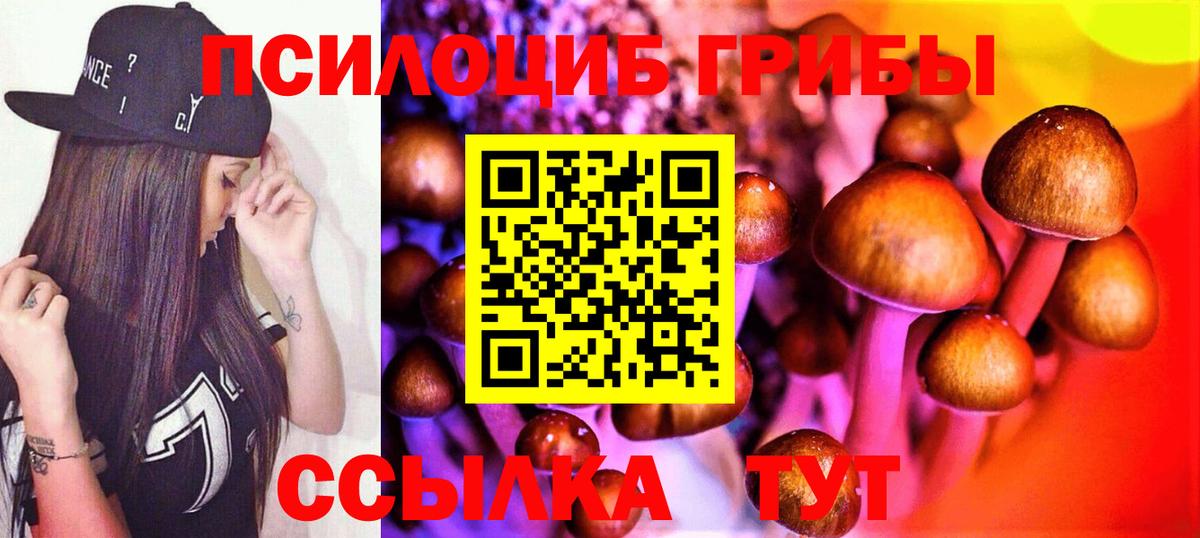 Галлюциногенные грибы Cubensis  Вход с VPN  Ногинск 
